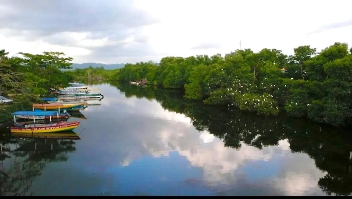 Walk To The Beach Apartment In Negril 2 Bedrooms 2 Bathrooms 0*,  Jamaica